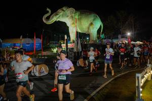 BIB: 
                            <button type="button" onclick="openModal(26552303)" class="btn btn-primary btn-sm float-right btn-popup" data-toggle="modal" data-target=".modal-high-quality">
                        <i class="fas fa-shopping-cart"></i> Add to Cart
                    </button>
                                            <button type="button" onclick="isThisMe(26552303, true)" class="btn btn-success btn-sm float-right btn-popup btn-isme hidden" data-toggle="tooltip" data-placement="bottom" title="นี่คือรูปของคุณใช่ไหม คลิกที่นี่เพื่อเอาเข้าอัลบั้ม">
                        <i class="fas fa-plus"></i> Add to album
                    </button>
                    <button type="button" onclick="isThisMe(26552303, false)" class="btn btn-warning btn-sm float-right btn-popup btn-isnotme hidden">
                        <i class="fas fa-ban"></i> Remove from album
                    </button>